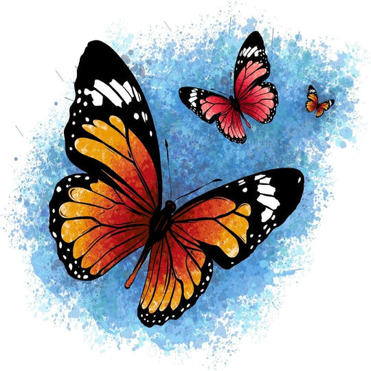 Schmetterling Malen Nach Zahlen Diy Handgemalt Kit Für Anfänger Erwachsene Anfänger DS129081126