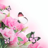 Schmetterling Malen Nach Zahlen Diy Handgemalt Kit Für Anfänger Erwachsene Anfänger DS35424395