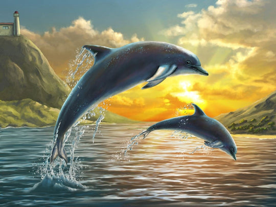 Delfin Malen Nach Zahlen Diy Handgemalt Kit Für Anfänger Erwachsene Anfänger DS55151083