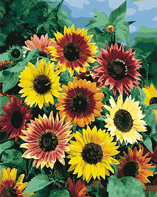 Sonnenblume Malen Nach Zahlen Diy Handgemalt Kit Für Anfänger Erwachsene Anfänger GX21215