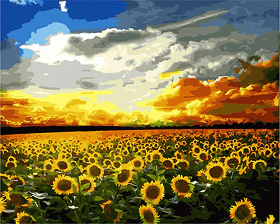 Sonnenblume Malen Nach Zahlen Diy Handgemalt Kit Für Anfänger Erwachsene Anfänger GX24822