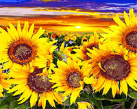 Sonnenblume Malen Nach Zahlen Diy Handgemalt Kit Für Anfänger Erwachsene Anfänger GX27106