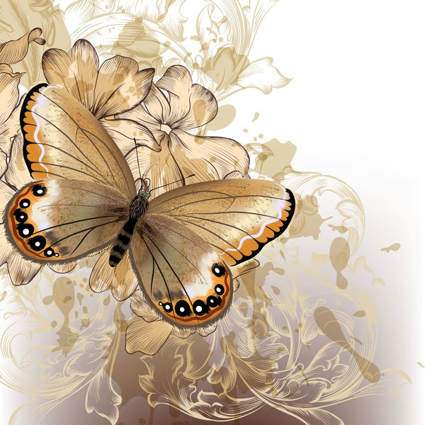 Schmetterling Malen Nach Zahlen Diy Handgemalt Kit Für Anfänger Erwachsene Anfänger IT186492571