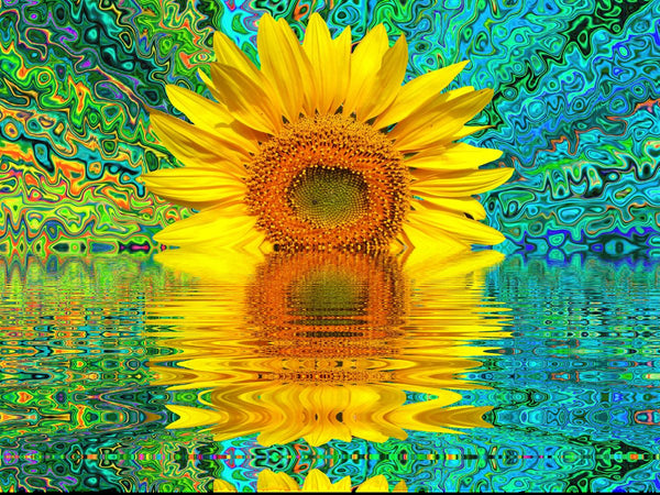 Sonnenblume Malen Nach Zahlen Diy Handgemalt Kit Für Anfänger Erwachsene Anfänger PX2430820