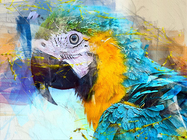 Papagei Malen Nach Zahlen Diy Handgemalt Kit Für Anfänger Erwachsene Anfänger PX2459950