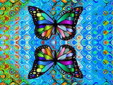 Schmetterling Malen Nach Zahlen Diy Handgemalt Kit Für Anfänger Erwachsene Anfänger PX2504363