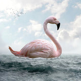 Flamingo Malen Nach Zahlen Diy Handgemalt Kit Für Anfänger Erwachsene Anfänger PX5630076