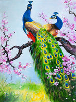 Pfau Malen Nach Zahlen Diy Handgemalt Kit Für Anfänger Erwachsene Anfänger SS1293447661