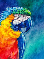Papagei Malen Nach Zahlen Diy Handgemalt Kit Für Anfänger Erwachsene Anfänger SS1871444500