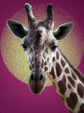 Giraffe Malen Nach Zahlen Diy Handgemalt Kit Für Anfänger Erwachsene Anfänger SS2057289590