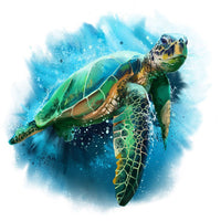 Schildkröte Malen Nach Zahlen Diy Handgemalt Kit Für Anfänger Erwachsene Anfänger SS763289803
