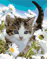Katze Malen Nach Zahlen Diy Handgemalt Kit Für Anfänger Erwachsene Anfänger WH72875